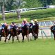 JRA「年度代表馬」アーモンドアイ当確でロードカナロア時代!? 2019年種付け料ほぼ「倍増」1500万円も大人気