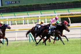 府中牝馬S（G2）はJRA「現場関係者情報」でウハウハ？ ディアドラ・リスグラシューは「相手」まで？