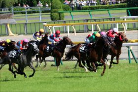 JRA新潟2歳S（G3）で引退種牡馬ゴールドヘイローの「大いなる遺産」となれるか？スティルネスが出走