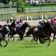 宝塚記念(G1)「藤田菜七子騎乗」を関係者懇願!? 鮮やか勝利に先輩騎手も拍手