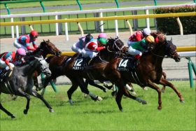 JRA「怪物」クロノジェネシス異次元の末脚で牡馬一蹴!! 募集価格「1400万円」の”地味馬”が上がり3ハロン32.5秒でクラシックに名乗り