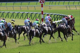 JRA「超良血」ソルドラード出陣！ 兄レイデオロに続く「大器」が種牡馬ロードカナロアの「運命」を決める理由