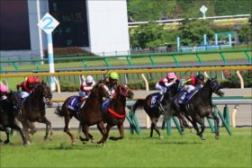 JRA愛知杯（G3）は「勢い」が重要!? 関係者情報で連勝中の馬で大勝負！