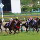 JRA東京新聞杯(G3)「筆頭」サトノアレス「真の力」? ここでは「格上」だが