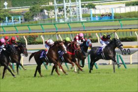 JRA「安い・速い・強い」今、ヴィクトワールピサ産駒が熱い！　レッドアネモスが新馬戦勝ち