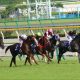 武豊ジャンダルム「米遠征」断念……「迷走」感強まるも秋は得意距離で