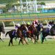 JRAヴィクトリアマイル(G1)ダノンファンタジー「作戦変更」に暗雲!? 前走大幅増から減らない馬体重、「ソフト仕上げ」は果たして正解なのか?