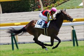 JRAルメール騎手「絶対G1獲れる！」話題の超大物グランアレグリアが大楽勝!! 昨年ダノンプレミアムとの「比較」は