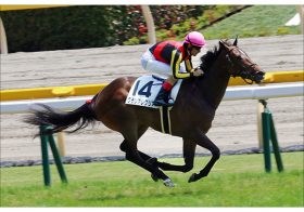 JRA グランアレグリア最終追い切り「抜群」もC.ルメールとは相性最悪!? ヴィクトリアマイル（G1）に一抹の不安