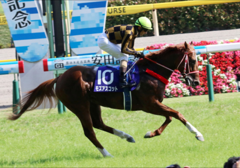 JRA 二刀流は大谷翔平だけじゃない!? 競馬界の「リアル二刀流」レジェンドたちの偉業を振り返るの画像2