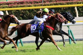 JRA「モズアスコットOP負け」騎手が「悔しさ」吐露……オーストラリア武者修行で一気の飛躍を
