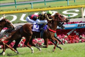 JRAルメール「重賞6連勝へ」スワンS（G2）モズアスコットでまずは5連勝？ 状態は……