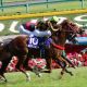 JRAマイルCS(G1)モレイラ→ムーアで完璧⁉ アエロリット最大の懸念は「相性」