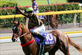 JRAスワンS（G2）モズアスコットはまさかの「2番手」？ 関係者情報から読み解く衝撃馬券