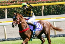 【スワンS（G3）展望】モズアスコット始動！ 安田記念の覇者を脅かす「実力馬」が続々!?