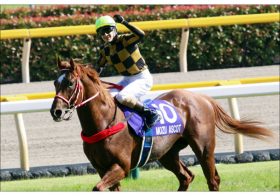 JRAマイラーズC（G2）モズアスコット今年も「荒療治」必要？ 昨年連闘で安田記念制覇も……