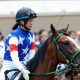 JRA「遅れてきた超大物」はオーナーも大物揃い!? ブエナビスタ草野仁、アルアイン山本昌「神の相馬眼」で大成功続きの著名人が太鼓判!