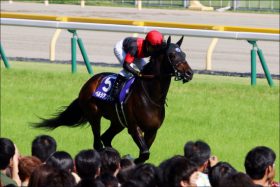 JRA金鯱賞に有力馬が集い「まるでG1レース」!?　ペルシアンナイト、アルアイン、リスグラシュー、そしてエアウィンザーら中長距離の強豪が大激突！