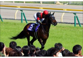 JRA金鯱賞（G2）「凡走の番」ペルシアンナイト”負けパターン”の秘密。ただ今回は別？