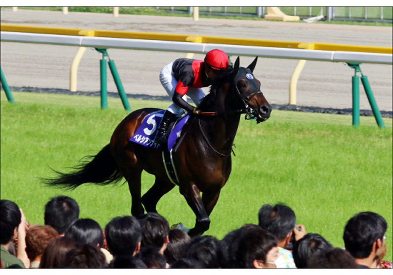 【札幌記念（G2）展望】JRA「史上最強」の夏決戦！ フィエールマンVSワグネリアン、そしてアノ馬は？の画像5