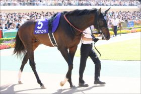 JRA「好走の番」ペルシアンナイトの圧倒的パターン……大阪杯（G1）昨年2着も今年は「よりいい」？