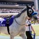 JRAサマースプリント王アレスバローズ「急遽」乗り替わりも不安ナシ!? 春にスクランブル騎乗Vの藤岡佑介と大舞台へ!!