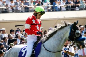 JRA短距離王レッドファルクス「引退」の危機!? スプリンターズS（G1）1週前追い切りで調子上がらず……