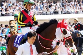 リアルスティール「引退」種子骨靭帯炎判明……名馬たちと繰り広げた激闘の血は次代へ