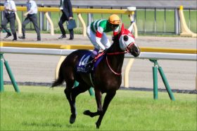 エリザベス女王杯「サイン」は武豊!?「ポッキーの日」11月11日11レース11番スマートレイアーの運命は？