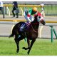 JRA有馬記念(G1)リスグラシュー×レーン騎手で名誉挽回!? 16年ぶり「特例」も思い出される「日本ダービー1番人気」の悪夢