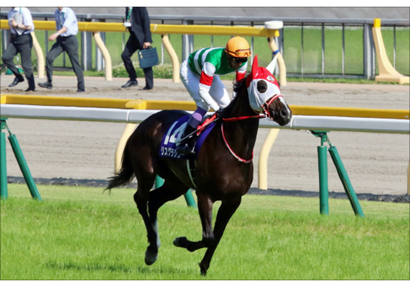 【コックスプレート（G1）展望】大本命リスグラシューVS世界の女傑！日本馬の2週連続「豪G1」制覇へ「自分の競馬さえ出来れば勝てる」の画像1