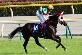 J.モレイラ大絶賛「神騎乗」に武豊複雑……”一歩足りなかった馬”リスグラシューあっさりG1制覇に「元恋人」の哀愁