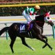 JRAマイルCS(G1)モレイラ→ムーアで完璧⁉ アエロリット最大の懸念は「相性」