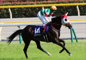 有馬記念（G1）リスグラシュー「アーモンドアイ完封」のシナリオ。ディープインパクト撃破「あのイメージですよね」矢作芳人調教師が描く14年前の再現