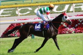 武豊にまたモレイラが見せつける!? 香港ヴァーズ（G1）リスグラシュー、最大の敵は凱旋門賞4着馬？