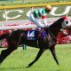 JRA中日新聞杯「高配当の使者」!? 関係者情報が見出した狙い目とは