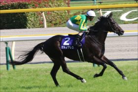 JRA東京新聞杯（G3）「筆頭」サトノアレス「真の力」？ ここでは「格上」だが