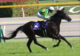 JRAディープインパクト後継サトノアレス「世界デビュー」で明るい未来!? 里見氏「ヨーロッパから興味を」世界的に注目される「日本の至宝」の血脈