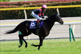 JRA札幌記念（G2）サングレーザー「最強モーリス」を追い詰めた秘策アリ!? 福永祐一×浅見厩舎なら「昨年のエアスピネル」にあらず