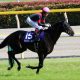 JRA名物馬主が「ナイママトラブル」激白で騒然……いつの間にか「所有」が移っていた?