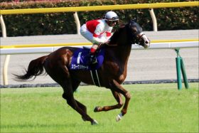JRA「最強馬決定戦」天皇賞・秋（G1）が超豪華メンバーと話題！ 現役最強スワーヴリチャードVS3歳ダービー馬ワグネリアン激突か