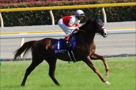 JRA天皇賞・秋（G1）スワーヴリチャード「不安」はM.デムーロ騎手!? 菊花賞ハナ差負け後「沈黙の45分間」に大スランプの気配