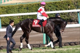 JRA「マイル王路線」ダノンプレミアム「謎ローテ」発表。川田将雅への「こだわり」で春G1戦線激変？