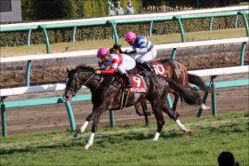 日本ダービー（G1）ダノンプレミアム「情報規制」に呆然!? 完全復活へ「クラシックの主役」が待望の初時計も大手メディアが沈黙を貫く理由