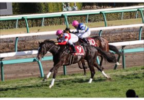 JRA【マイラーズC（G2）結果】ダノンプレミアム完勝で「アーモンドアイ」直接対決へ!? 安田記念（G1）は「現役No.1」を懸けた一戦に！