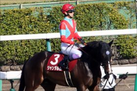 JRA富士S（G3）は武豊がエアスピネル粉砕!? 関係者情報から見えた「勝負馬券」は
