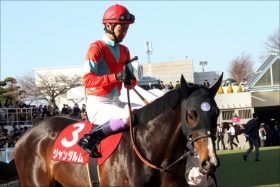 武豊ジャンダルム「ベスト状態」で距離に挑戦！ 日本ダービー（G1）で”イメージ”払拭か