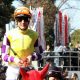 JRA・M.デムーロ騎手の「正妻」確実な理由……スワーヴリチャード金鯱賞(G2)超人気も「サトノ軍団」復活に光?