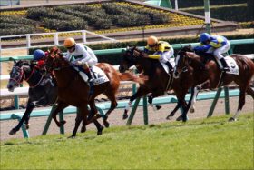 日経賞（G2）関係者情報「抜群」はキセキではない!?　キーワードは「中山巧者苦戦」