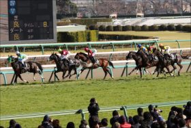 フラワーC（G3）で「夢配当」の使者3頭!? 桜花賞に向け「一気の賞金加算」を狙うのは……